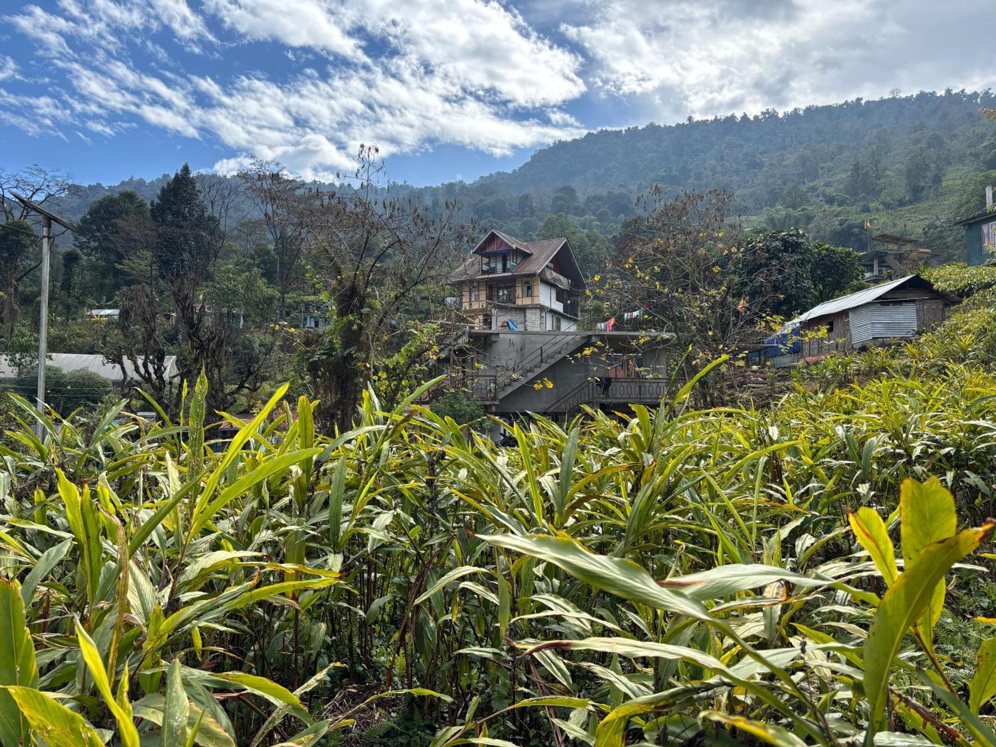 Ferienwohnung Odyssey'S Darap Eco Retreat Pelling Exterior foto