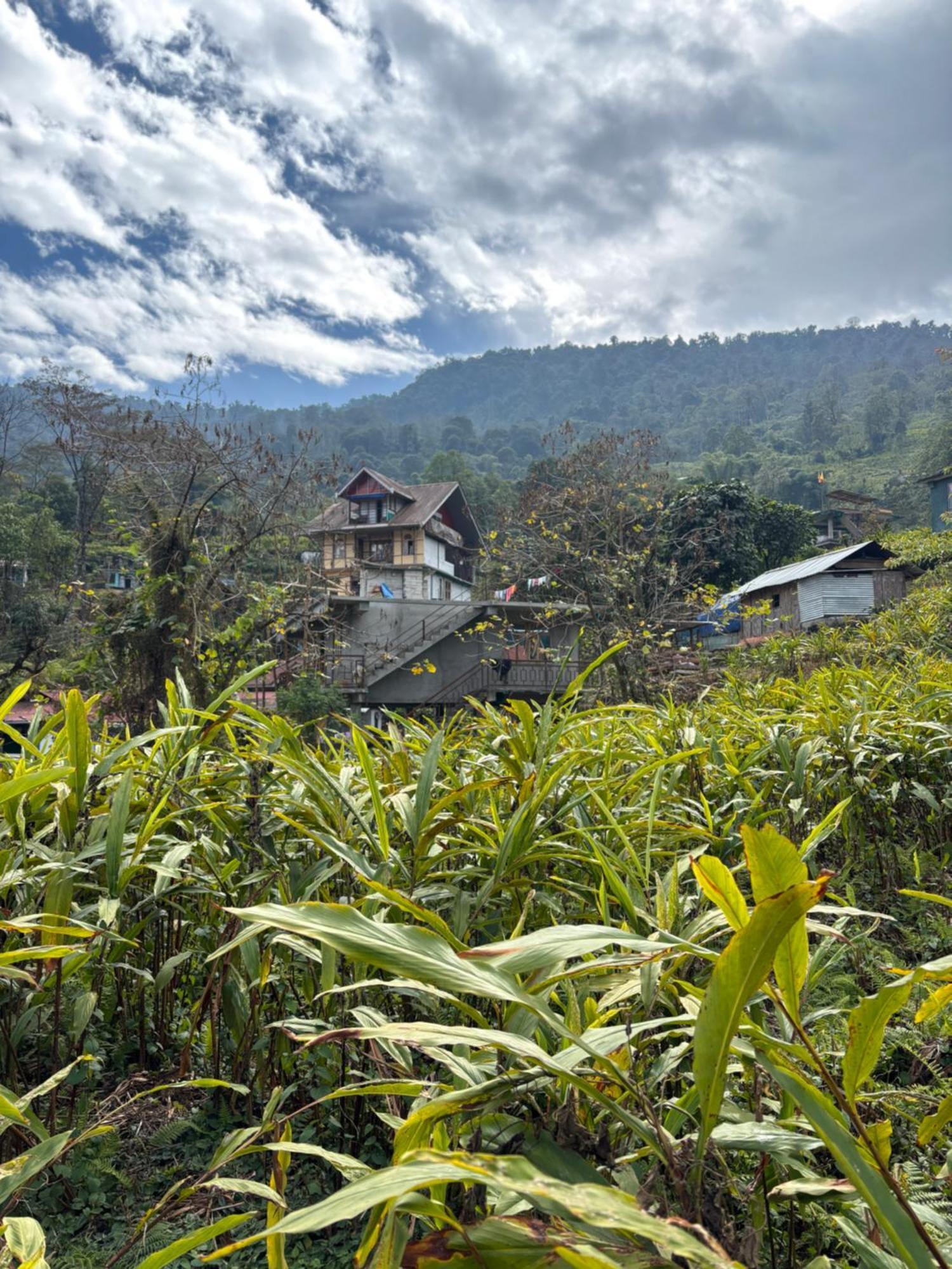 Ferienwohnung Odyssey'S Darap Eco Retreat Pelling Exterior foto